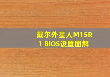 戴尔外星人M15R1 BIOS设置图解